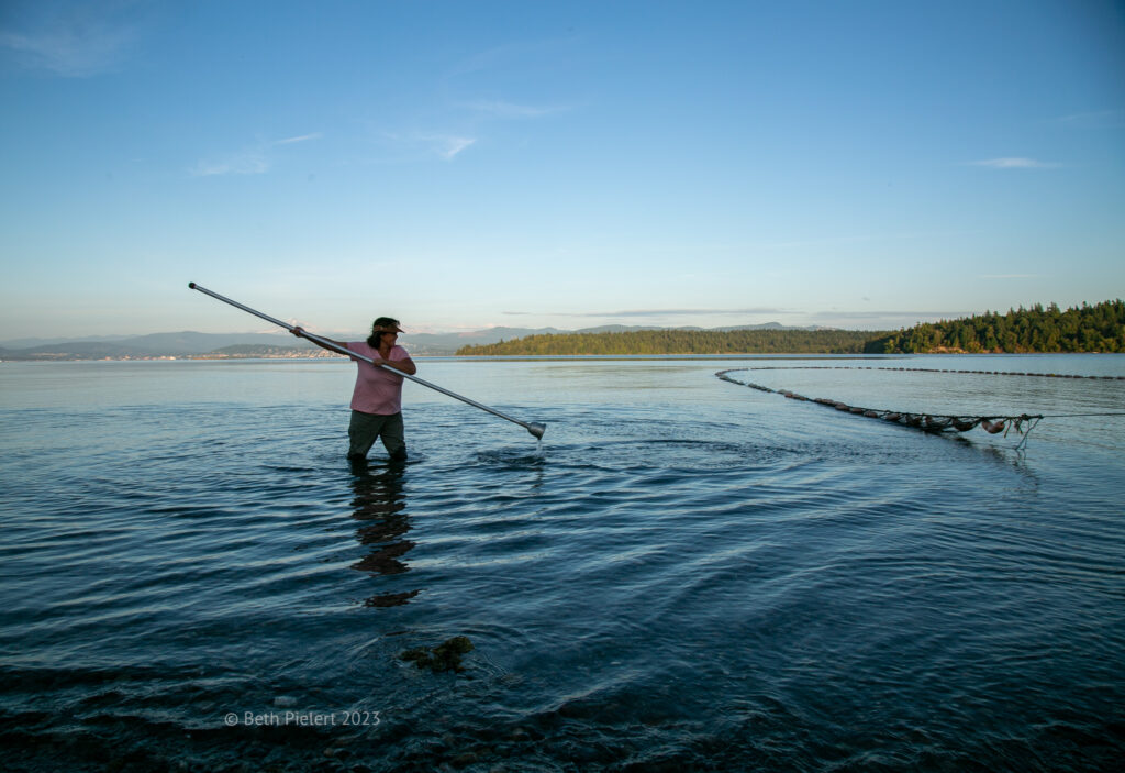 Scha’nexw Elhtal’nexw Salmon People: Preserving a Way of Life